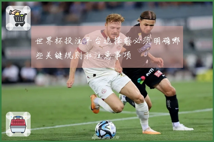 世界杯投注平台选择前必须明确哪些关键规则和注意事项