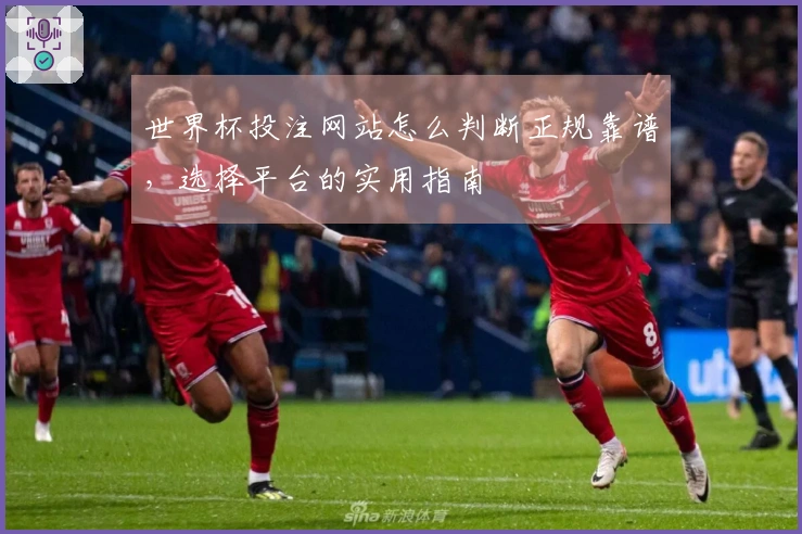世界杯投注网站怎么判断正规靠谱，选择平台的实用指南