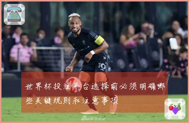 世界杯投注平台选择前必须明确哪些关键规则和注意事项