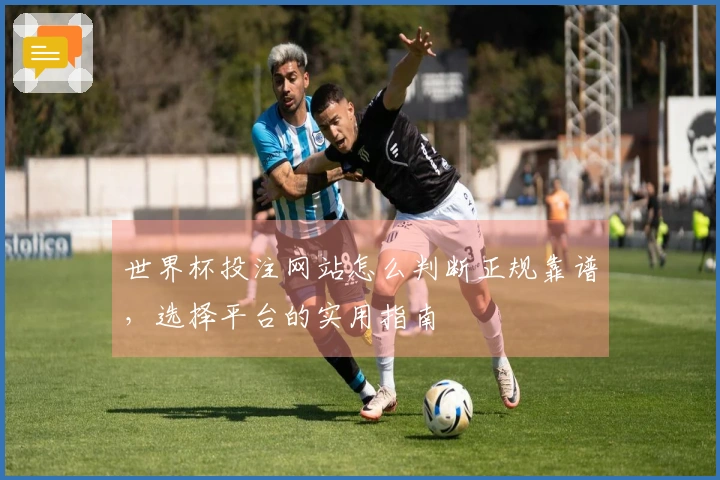 世界杯投注网站怎么判断正规靠谱，选择平台的实用指南
